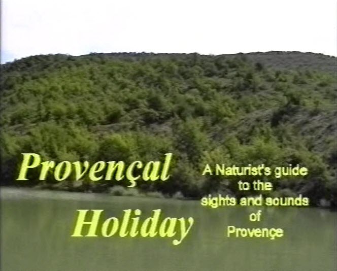 Provencal Holiday