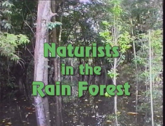 Naturists in the Rain Forest