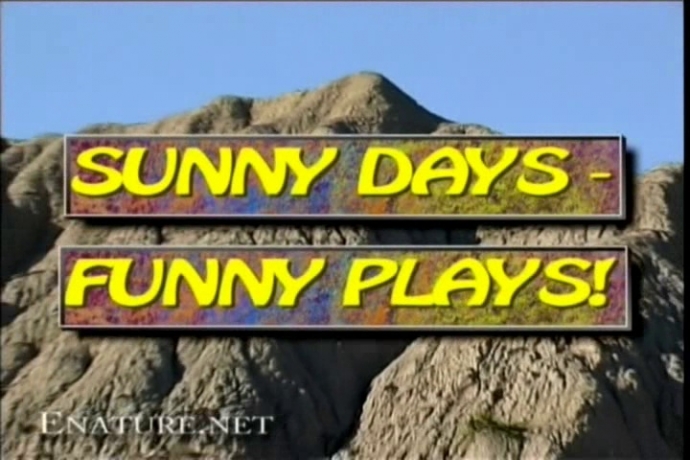 Sunny Days Funny Plays (Enature.net)